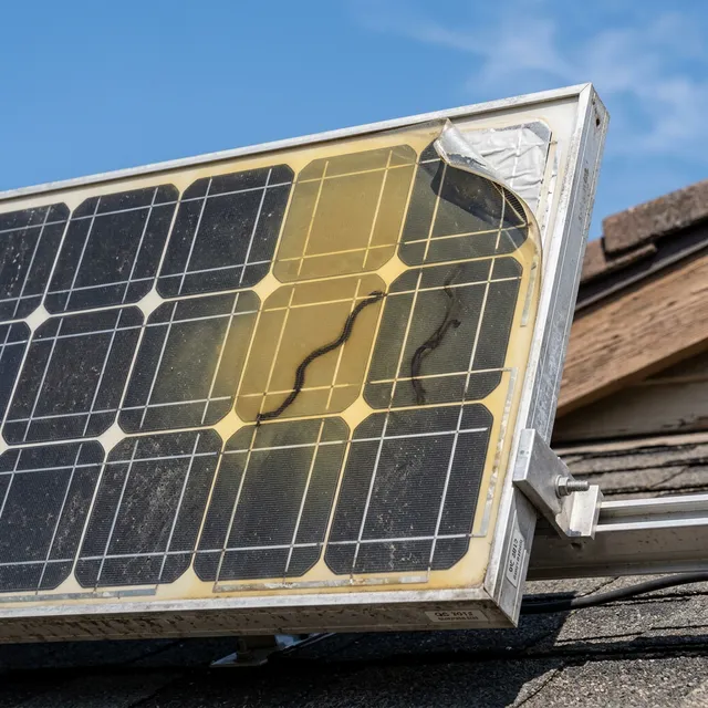 Nahaufnahme eines gealterten Solarpanels auf einem Hausdach mit sichtbarer Vergilbung der EVA-Folie, leichter Delamination an einer Ecke und Schneckenspuren auf den Zellen.